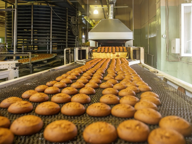 Untitled design (11)